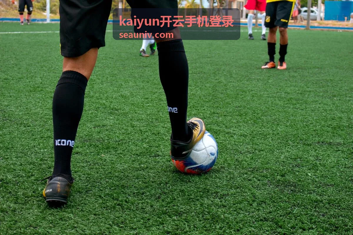 开云手机登录账号与验证码校验界面