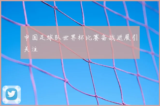 中国足球队世界杯比赛备战进展引关注