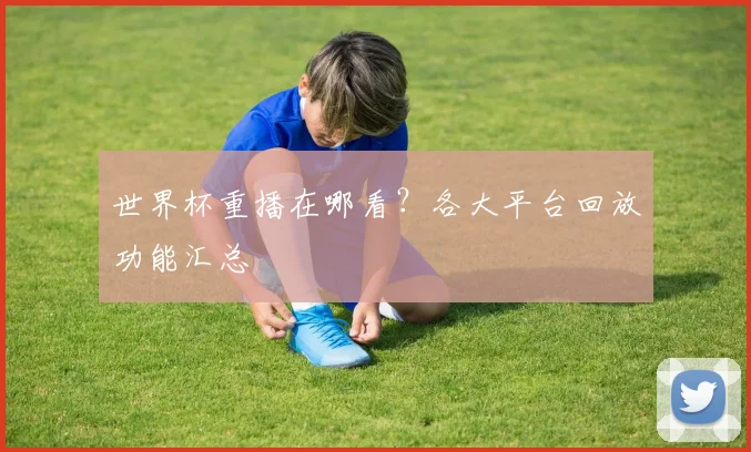 世界杯重播在哪看?各大平台回放功能汇总