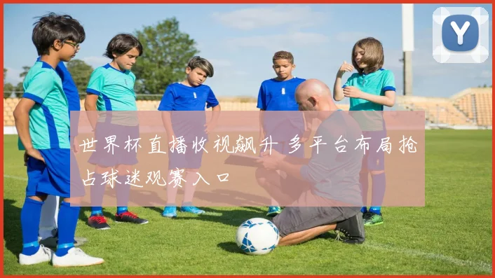 世界杯直播收视飙升 多平台布局抢占球迷观赛入口