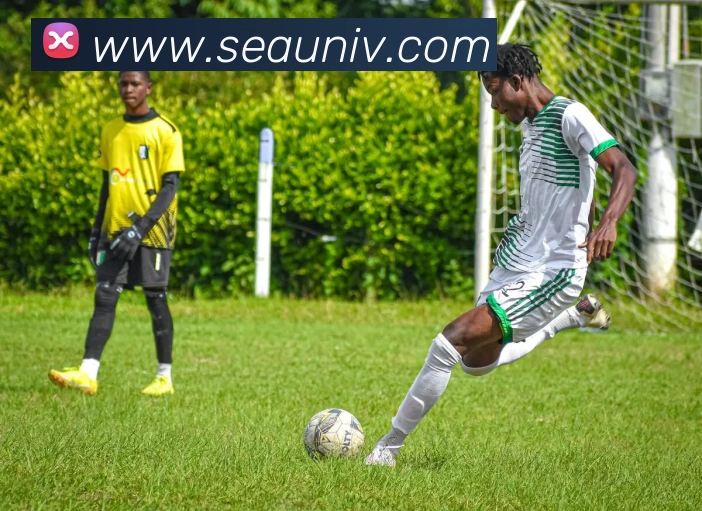 杰梅因奥尼尔入选名人堂 生涯成就再获认可引发关注